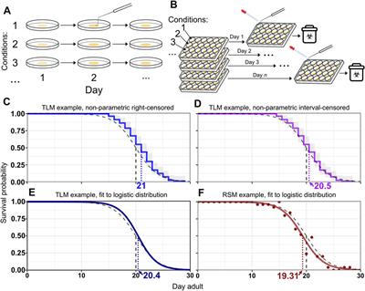 The Replica Set Method is a Robust, Accurate, and High-Throughput Approach for Assessing and Comparing Lifespan in C. elegans Experiments